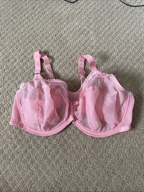 Sheer Pink Unlined Bra - Women Intimates & Sleepwear